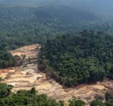 Χρυσός που χρησιμοποιήθηκε για βέρες στην Ιταλία συνδέεται με την αποψίλωση δασών στον Αμαζόνιο