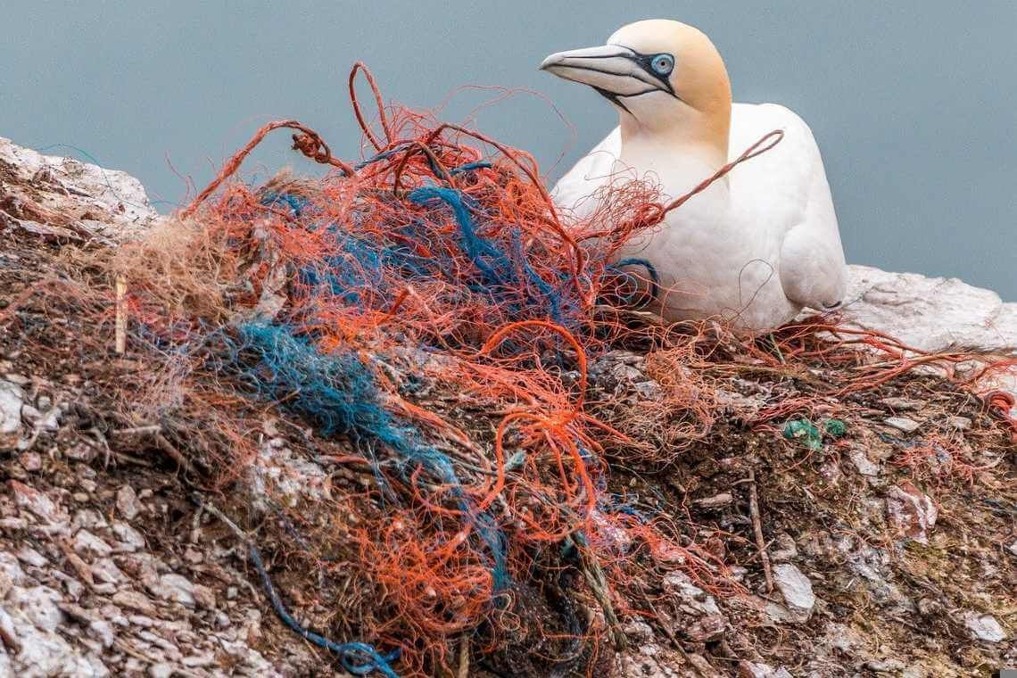 Ανταλλακτικά κατασκευασμένα από ανακυκλωμένα δίχτυα ψαρέματος χρησιμοποιεί η BMW