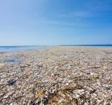 Great Pacific Garbage Patch: Η καταστροφική επίδραση των ανθρώπων στους ωκεανούς