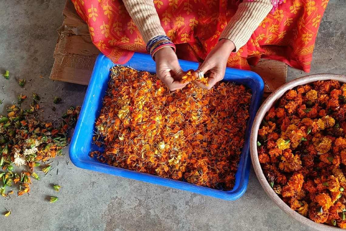 Το vegan δέρμα φτιαγμένο από άχρηστα λουλούδια της Ινδίας 