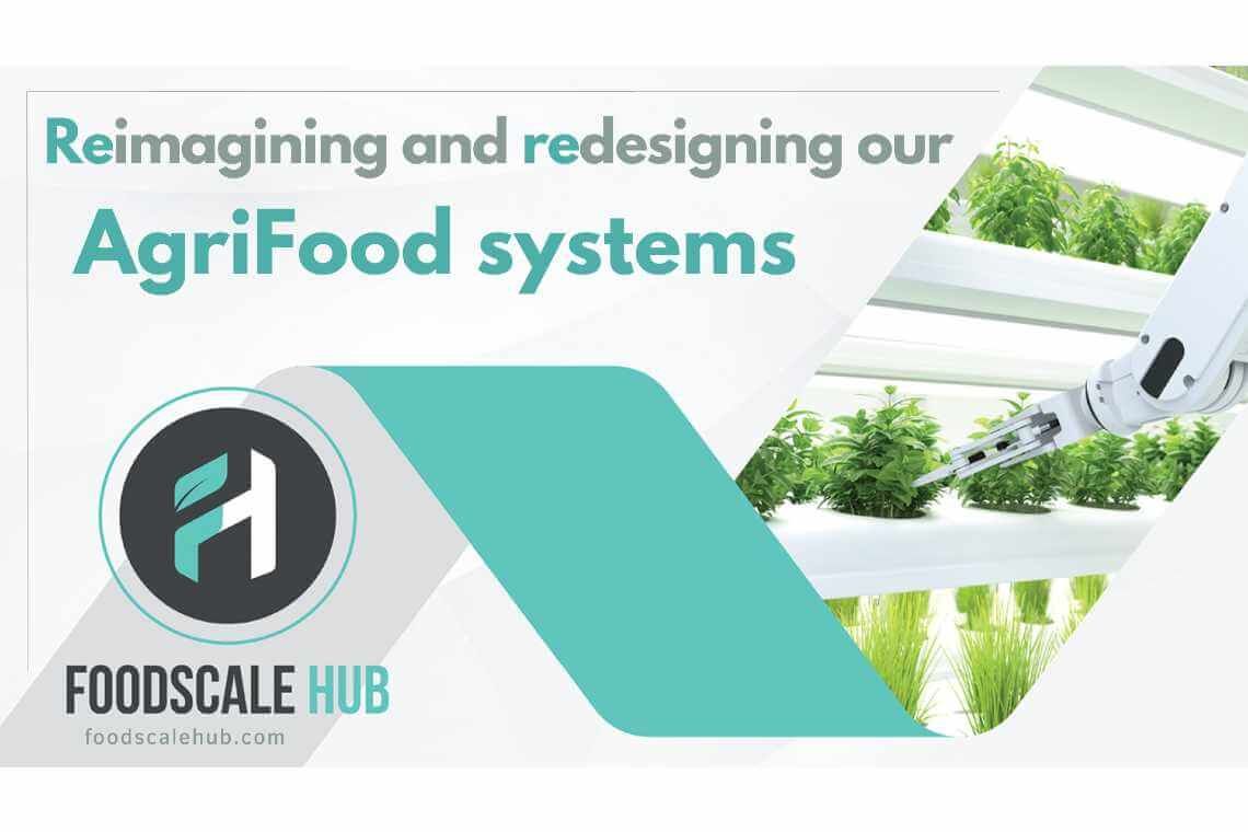 Foodscale Hub: Ένας οργανισμός - «κόμβος» επιχειρηματικότητας για τον αγροδιατροφικό τομέα 