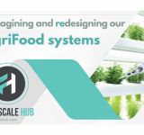 Foodscale Hub: Ένας κόμβος επιχειρηματικότητας για τον αγροδιατροφικό τομέα