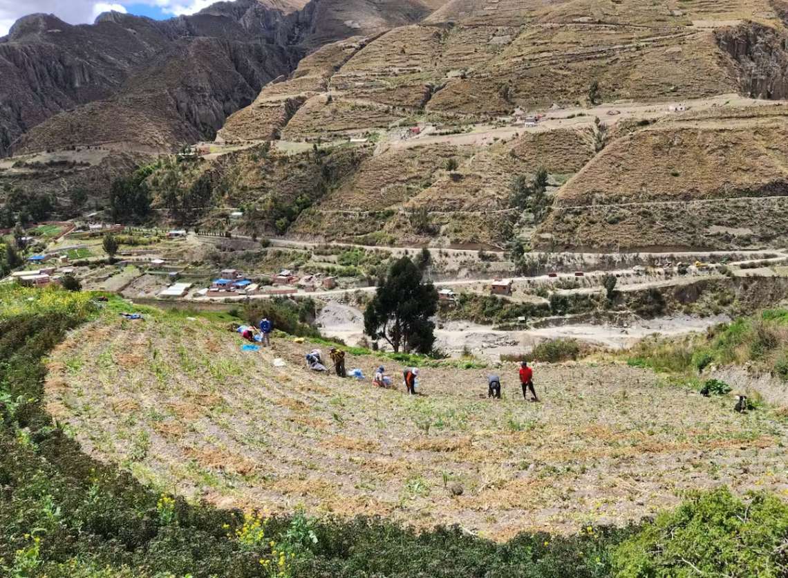 Τοπικοί παραγωγοί τροφίμων στο Chicani, ένα χωριό στα περίχωρα της Λα Παζ, στη Βολιβία