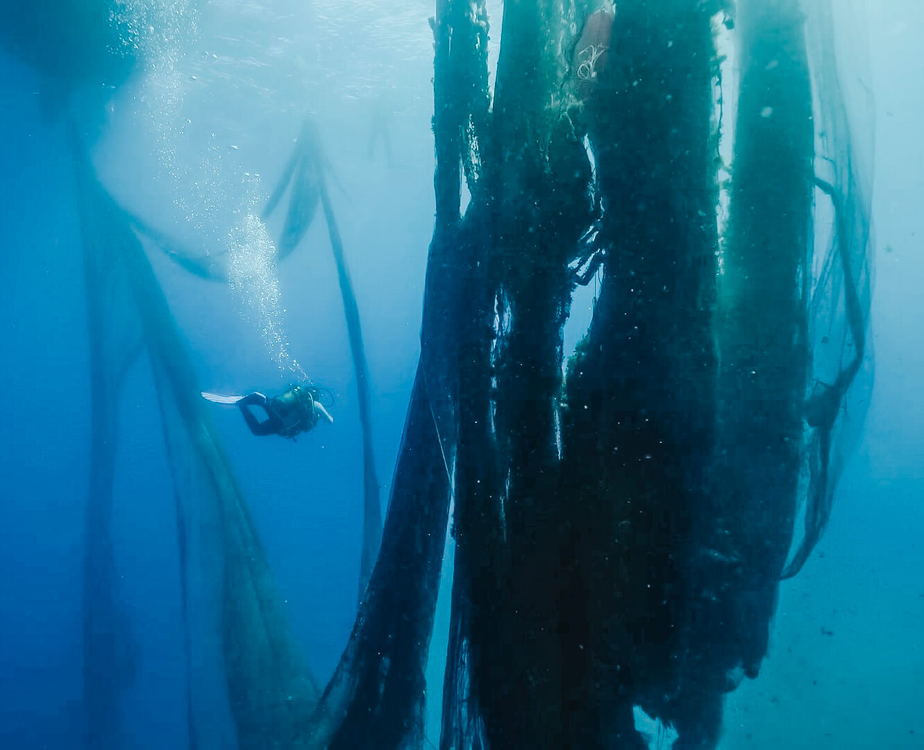 Δίχτυα-φαντάσματα στο βυθό της θάλασσας (credits: Aegean Rebreath)