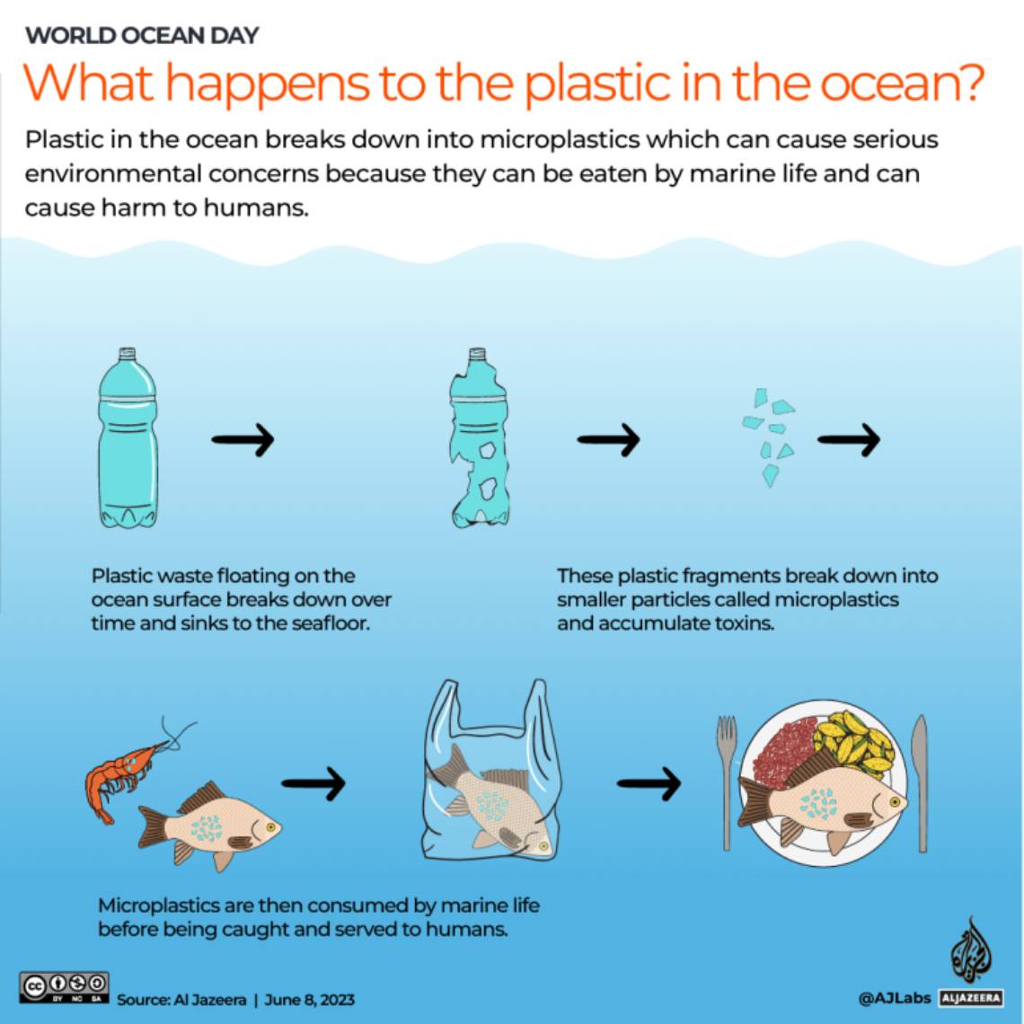 Τι συμβαίνει στα πλαστικά στους ωκεανούς;