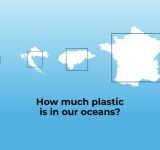 Παγκόσμια Ημέρα Ωκεανών: Πόσο πλαστικό υπάρχει στους ωκεανούς μας;